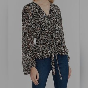 Balloon Sleeve Blouse Long Sleeve V Neck